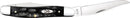 Case Muskrat Buffalo Horn-3